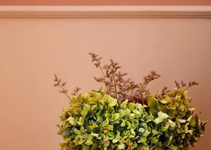 Casa Aurelia 아파트 포르투